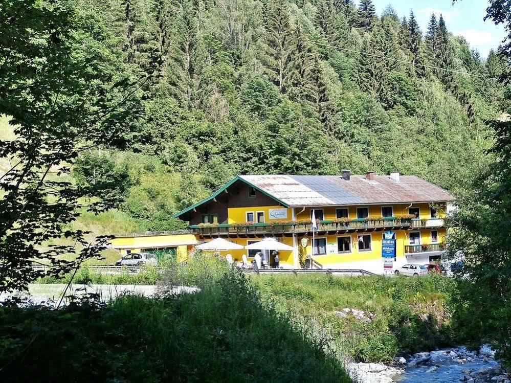 Hotel-Restaurant Bike&Snow Lederer Mühlbach am Hochkönig Exteriör bild